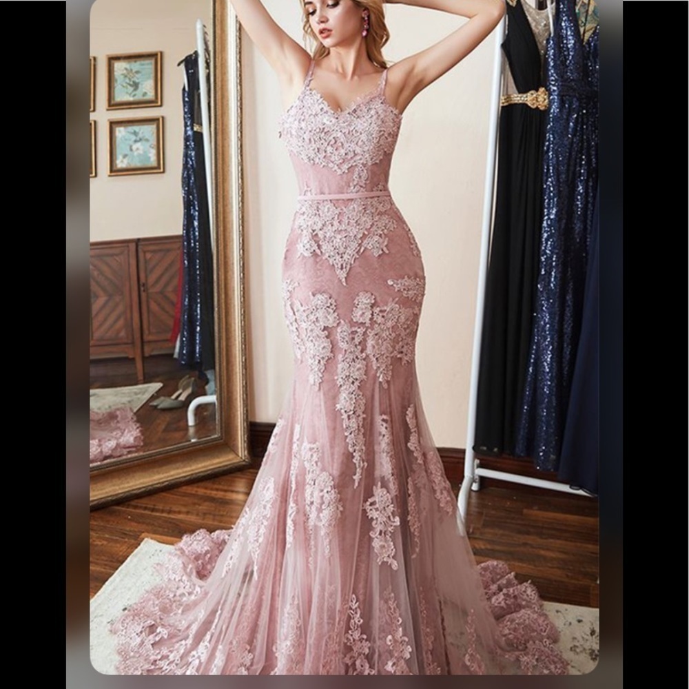 Hebeos Sheath Spaghetti Lace Tulle Prom Gown - Picture 15 of 16